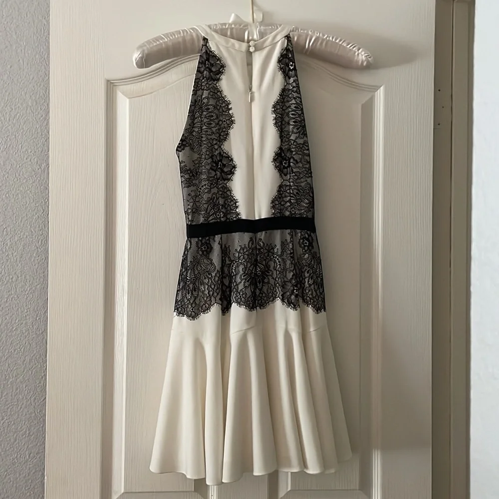 Gorgeous BCBG Max Azria cocktail dress, size 2. - Picture 3 of 4